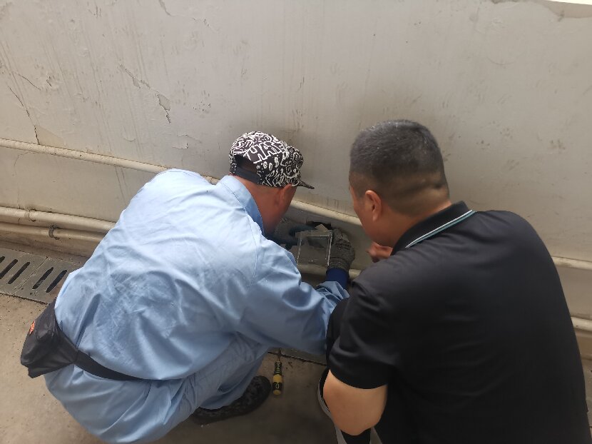 QQ图片20250627160315