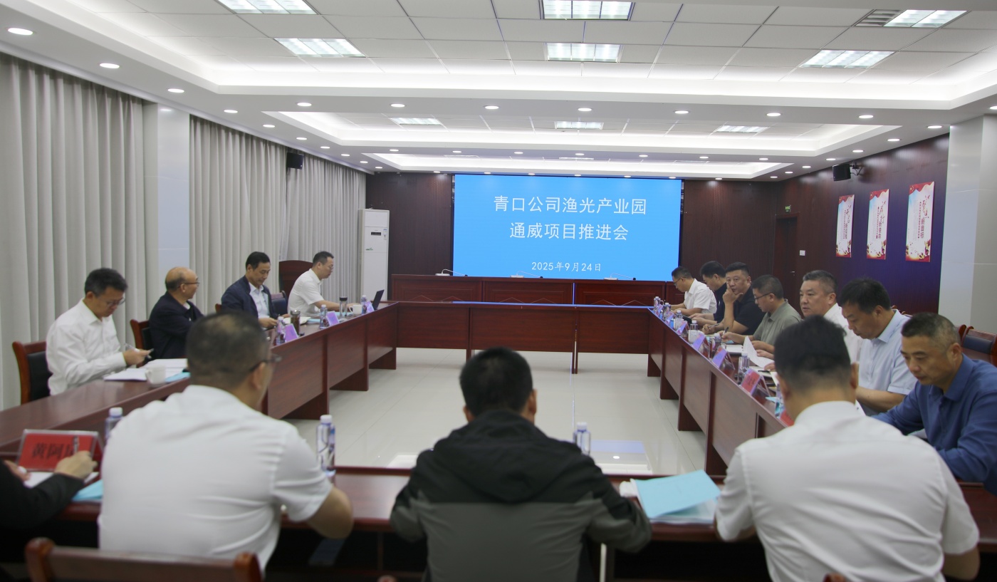 NE2A6988_副本_副本